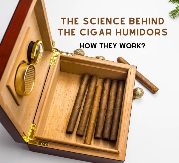 Open wooden cigar humidor with a glass top showing cedar dividers, stored cigars, and a built-in hygrometer